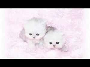 ༘⋆ 𝗌𝖺𝖽 / 𝖼𝖺𝗅𝗆 𝖺𝗎𝖽𝗂𝗈𝗌 ‹𝟹 || + 𝗍𝗂𝗆𝖾𝗌𝗍𝖺𝗆𝗉𝗌