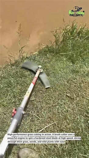 Insane Grass Cutting! Steel Blade Brush Cutter Works Fast | Satisfying Shorts