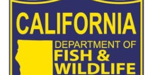 Gray wolves lethally removed after killing 70 farm animals in Sierra Valley