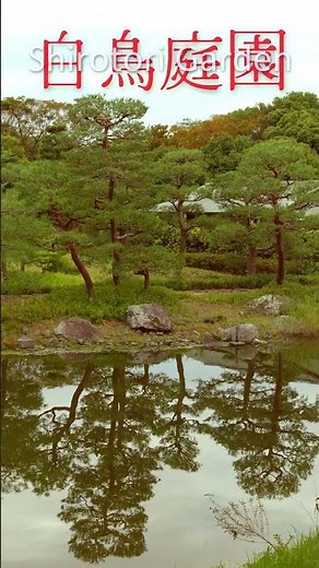 Traditional Japanese Swan Garden Shirotori Teien 白鳥庭園 in Nagoya 名古屋 | Autumn Japan 2025