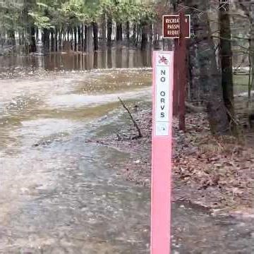 April 14, 2026 AU SABLE RIVER FLOODED AT PARMALEE BRIDGE, RED OAK, MI. #floodalert