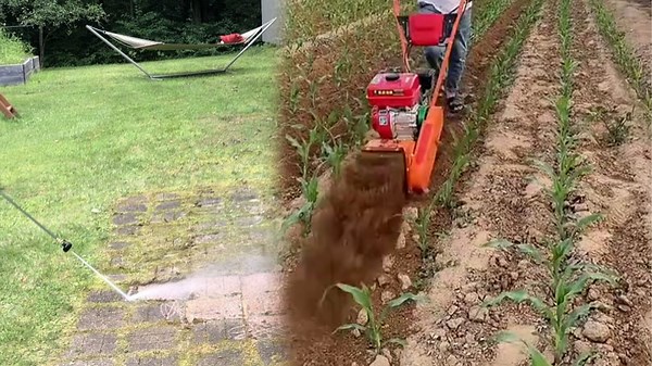 Hardworking Professionals Bringing Perfection to Every Job