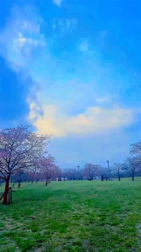 Exploring Toneri Park: A Spring Day in Japan