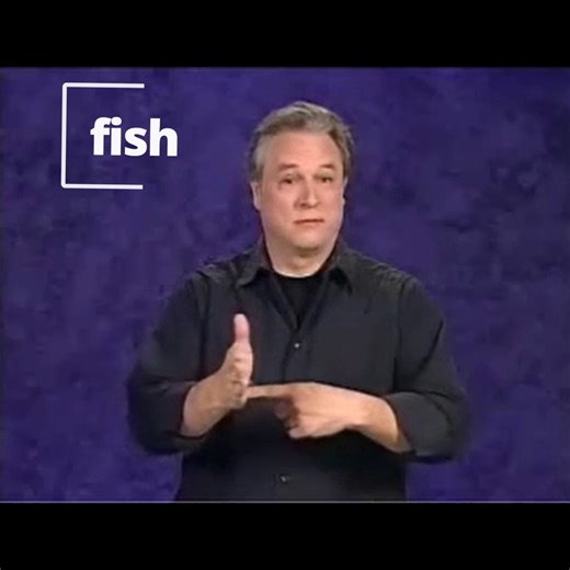 Ready Set Sign on Instagram‎: "ASL Fish To sign “fish,” place your dominant hand flat, palm facing sideways, and move it forward with a slight waving motion like a fish swimming “(Keep your hand relaxed to make the fish swim naturally). Note: This version has a non-dominate hand pointing at the heal of the open palm of the other hand but it is not used in other versions. (Technical) Dominant hand in flat “B” handshape, palm facing sideways, moving forward with gentle side-to-side motions. Finger