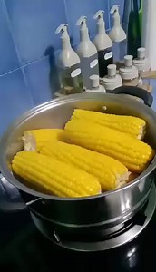 Yes, Boiled Sweet Corn is healthy 💯 It can improve digestion, vision, memory and heart health. Sweet Corn is a tasty treat to support nerves, brain and heart, and cholesterol level. It is packed with B vitamins, including niacin and thiamine. Thiamine might support nerve health and cognitive function, while niacin may reduce the risk of cardiovascular issues and promote good cholesterol. #goodtoknow #healthyfood #sweetcorn #fypシ゚viralシ #fypシ゚ | Merlyn Pepania Tampadong