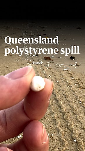 3.2K views · 33 reactions | Three days into the marine turtle nesting...