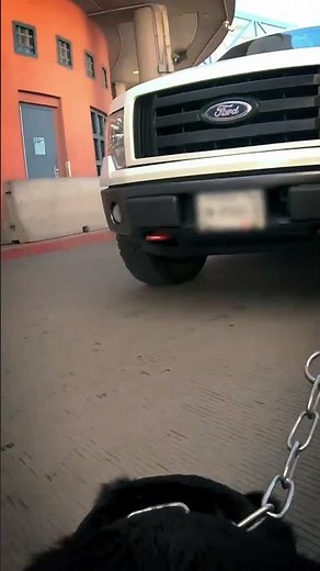 Border Security - How Working Dogs (K9) Inspects Vehicles - POV | CBP