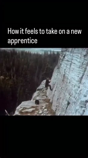 Awe cubby 🐻 | mechanical-hub.com