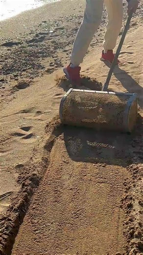 Beach Treasure Hunting Adventures