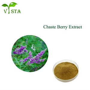 [Hot Item] Factory Supply Hot Sale Plant Extract Chasteberry Extract Chaste Tree Berry Extract 5: 1, 10: 1, 20: 1 Extract Powder