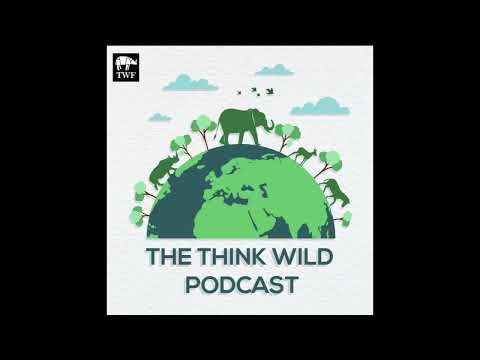 S4|EP25 - Discovering New Species in the Western Ghats | Herpetology with Abinesh Anbazhagan