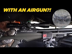 Hunting Big Mule Deer With An Airgun?