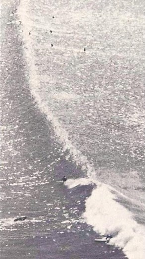 How Killer Dana Was Erased Forever