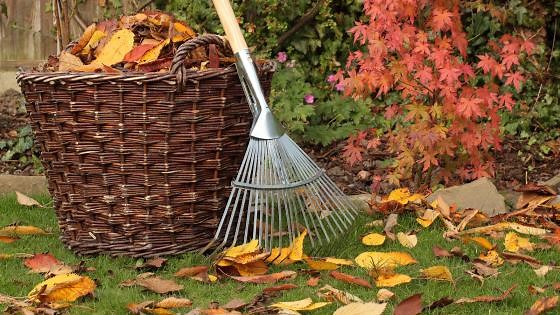 Why Lawn Care in Autumn is so Important