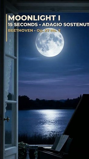 The Movement That Named Itself | Beethoven Moonlight
