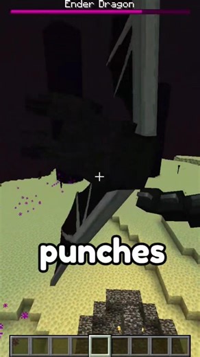 How many punches does it take to KILL the ender dragon ? #minecraft #shorts #viral
