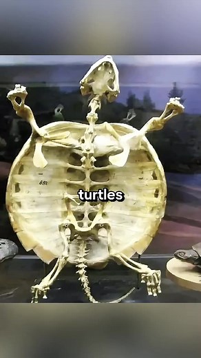 Rare photos that will leave you speechless 😳 | Real E