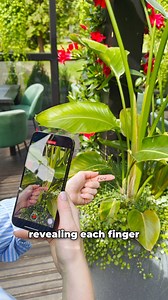 Try this easy coffee transition! ☕️ 📲 Follow us for more iPhone camera tips! #iphonephotography #iphoneography #videoideas #iphonevideo #capcut | iPhone Photography School