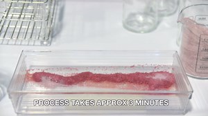 Absorbent Specialty Products, Acid Neutralizer, Purple