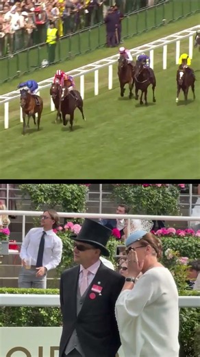 Watch along with trainer Aidan O'Brien as Scandinavia beats Trawlerman in a classic Ascot Gold Cup 🏆