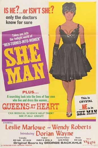 She-Man: A Story of Fixation (1967) - Movie