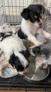 61K views · 10K reactions | Today my little angels turned seven...