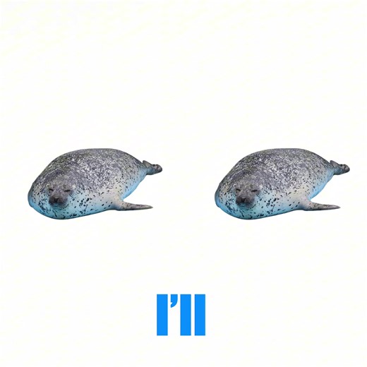 тюлень #тюлень #seal #elbruso #viral #fup | seal