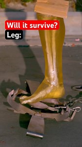 5.3M views · 17K reactions | What survives a bear trap? 樂 | Legendary Shots | Facebook