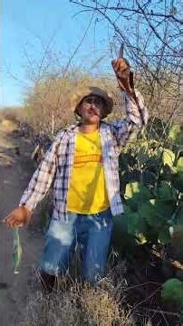 #quem vocês acha que tem razão nessa história?#shorts