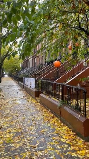 Just relax and listen to the sound of autumn in New York Photo ;iwyndt you can follow us on Youtube https://www.youtube.com/@TimesSquareNewYork | New Yorkers Live