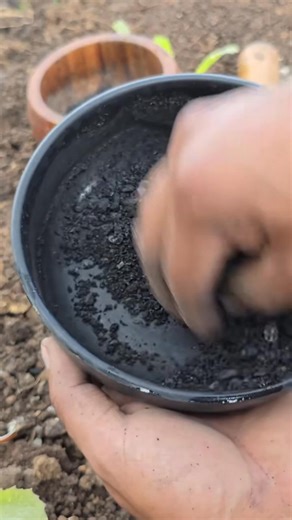 4.9K views · 16 reactions | Learn how to turn plain charcoal into powerful activated biochar to boost your soil health naturally. This simple method helps retain moisture, improve nutrient availability, and support-001 | Deborah Clark | Facebook