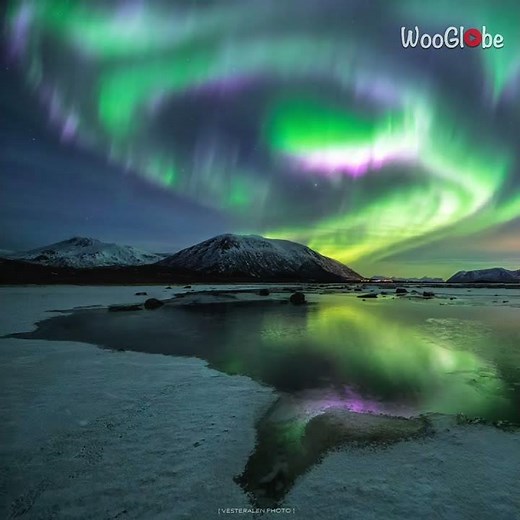 Northern Lights Animation: Experience Norway's Magic Now! || WooGlobe