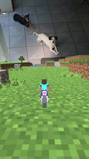 Crazy Moto Adventures in Minecraft Gameplay