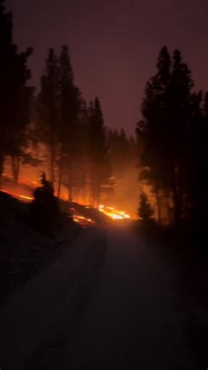 Justin fry on TikTok