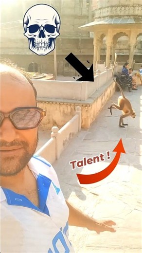 Panna Mina Kund, Amer Jaipur | Monkey at panna mina kund #amer #jaipur