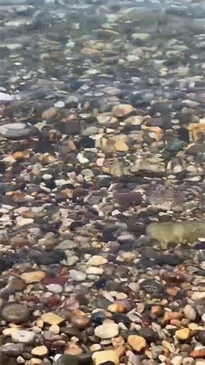 石ころ探しの旅 A journey in search of stones