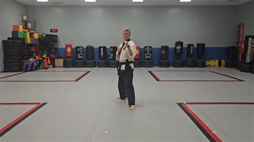 Stepping Side Kick/Spinning Back Kick