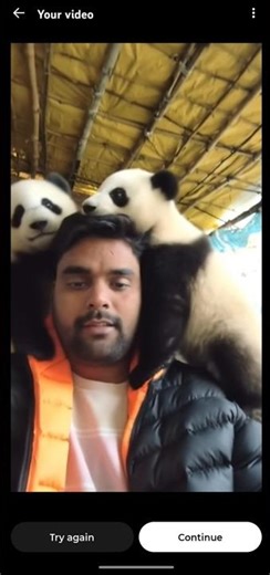 tutorial panda pals filter🤩🤯#panda #pals#filter #funny #trending