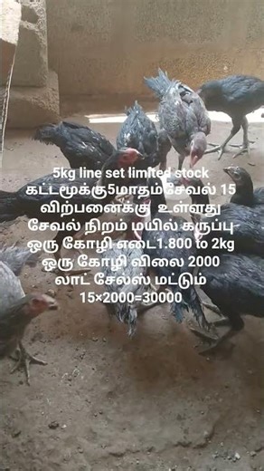 sts farm sale update cell 6369934015