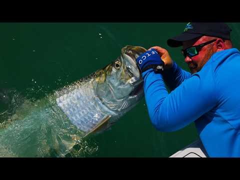 Insane Tarpon and Grouper Fishing!
