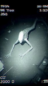 CCTV footage from a remote motion-sensor camera in the Nevada desert captured a mutant alien creature emerging from a dried-up arroyo at 2:19 AM. It resembles a grotesque fusion of iguana and human—scaly, hunched, with elongated arms dragging on the sand and hands ending in bony, clawed fingers. Its head swivels independently of its torso, eyes glowing faintly amber as it sniffs the air. It pauses near an old tire, then lets out a low, guttural hiss that distorts the audio feed. Minutes later, i