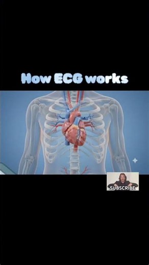 How ECG works!!!