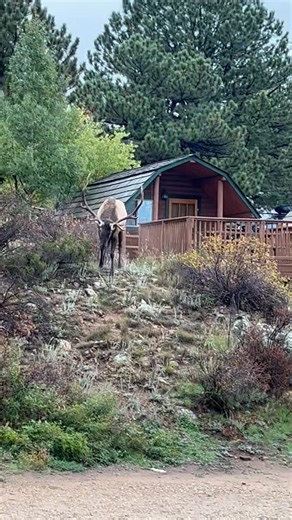 Rebecca Jackson on Reels | Facebook