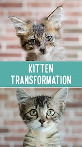 226K views · 10K reactions | Adopted 癩 Adopt me! Meet June Bug I...