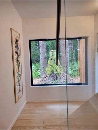 10K views · 429 reactions | This is a framed print, 1 of a kind, made up of a beautiful tree by printmaker kelli_macconnellprints with orange butterflies added by tomcallos. Kelli, Tom, and I collaborated on this print - which was then sold to the benefit of charities. 50 butterfly prints were made, all unique, for this effort. Thank you Kelli & Tom! 曆 Here’s a link to what remains for sale: https://www.etsy.com/shop/50Butterflies | Julia Butterfly Hill | Facebook