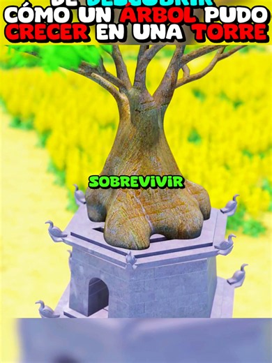 ¿Cómo puede un árbol sobrevivir durante más de cien años sobre una torre de piedra? 🌳🏯 La respuesta está oculta dentro de su estructura: muros de piedra, tierra apisonada y raíces que atraviesan la construcción. Pero lo más increíble es que el árbol puede ayudar a estabilizarla y, al mismo tiempo, acelerar su deterioro. 👀 #Arquitectura #Arboles #InventosQueCambiaronElMundo #ScienceFacts #Engineering