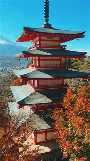 Japan 2024 2024 Japan Video Summary🤩🇯🇵 #japan #nihon #mtfuji #tokyo #2024