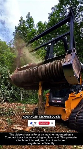 Forestry Mulcher on Compact Track Loader Clearing Vegetation !! #innovation #tool #machine