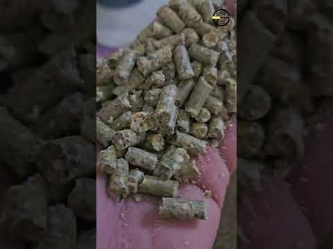 Запуск лінії гранулюваня корму для 🐟 рибного господарства | Перший тест продуктивності