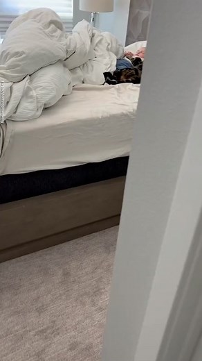 Adorable Cat and Baby Cuddling Compilation